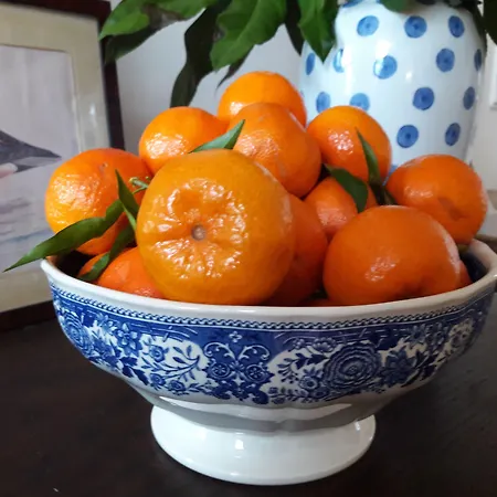 فندق مبيت وإفطار Blues & Chutney 3*